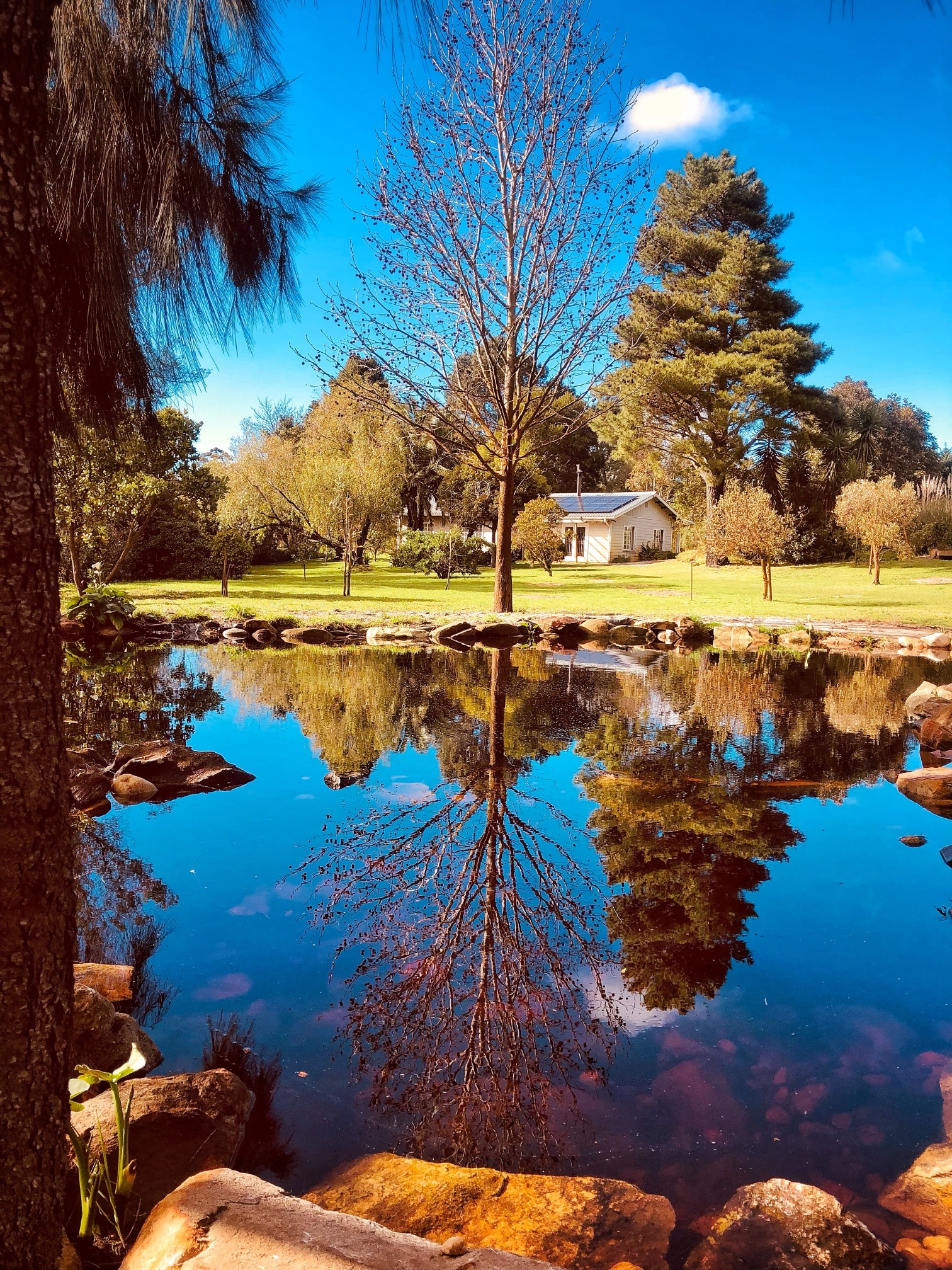 self-catering accomodation elgin valley