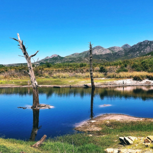 self-catering accomodation elgin valley