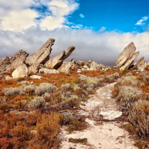 self-catering accomodation elgin valley